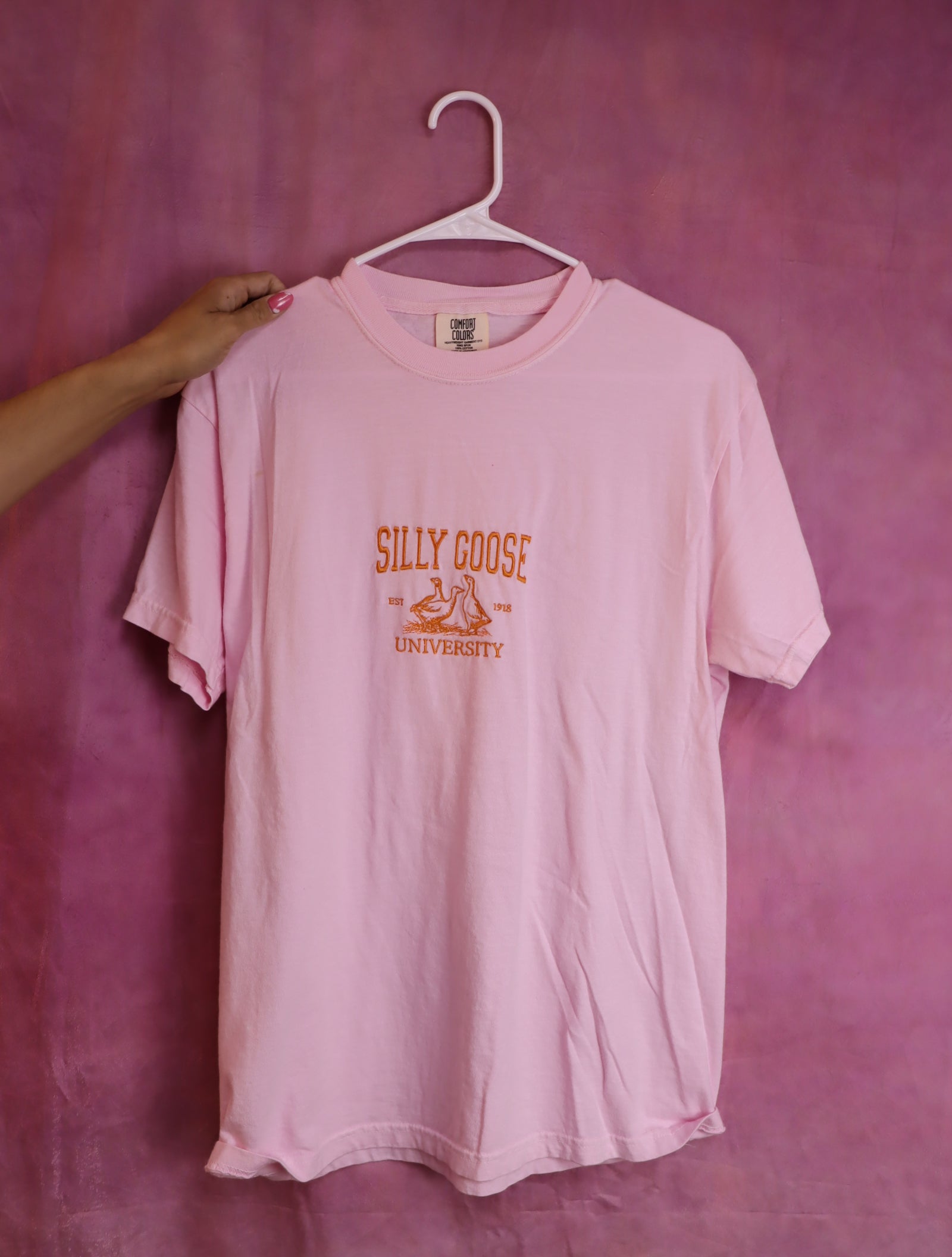 “Silly Goose University” Embroidered Shirt